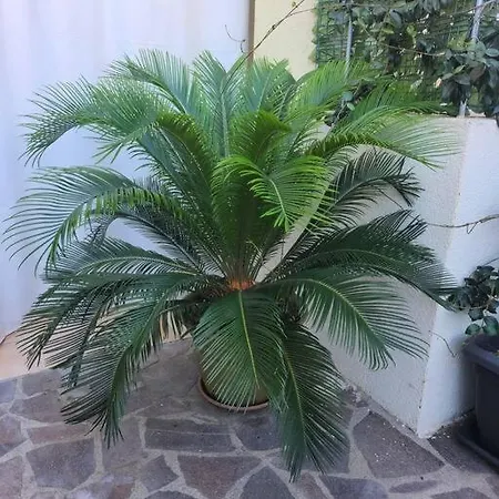 Appartamento La Casa Di Luca Arzachena