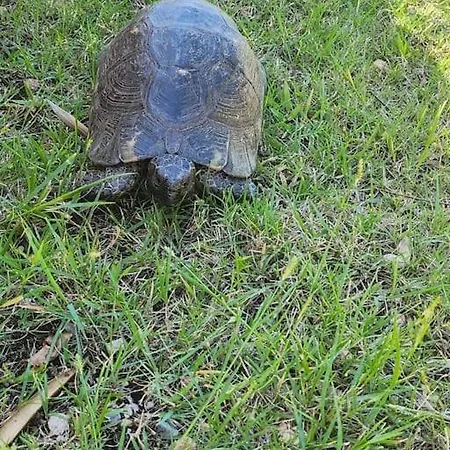 La Casa Di Luca * Arzachena
